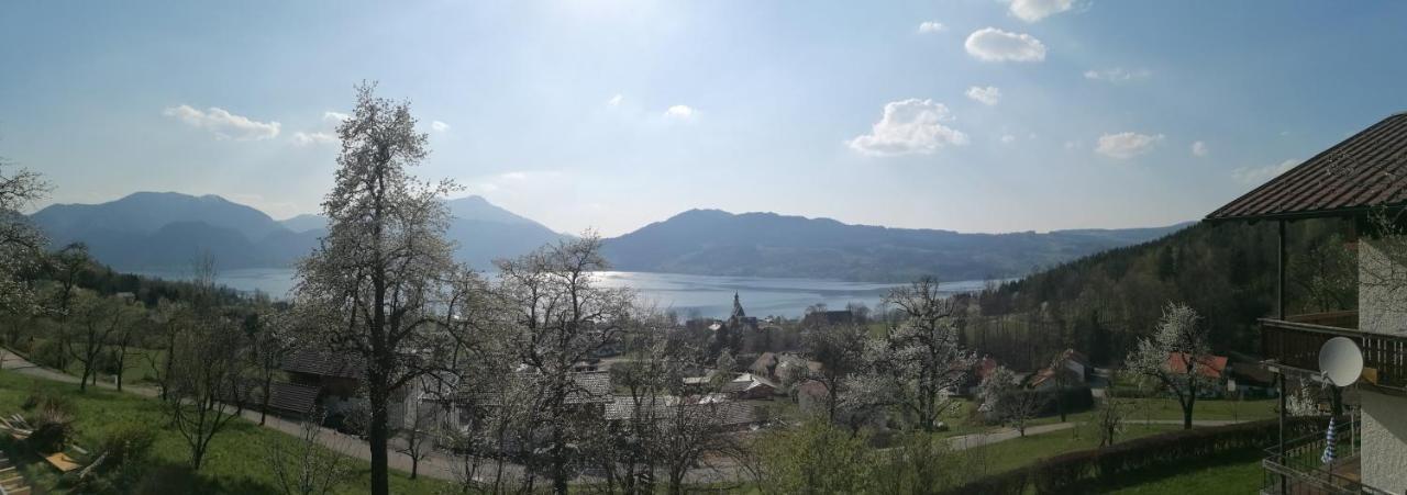 Attersee-Chalet Angermann Familie Spalt Steinbach am Attersee Εξωτερικό φωτογραφία