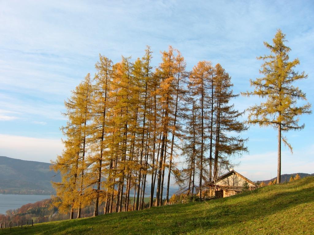 Attersee-Chalet Angermann Familie Spalt Steinbach am Attersee Εξωτερικό φωτογραφία