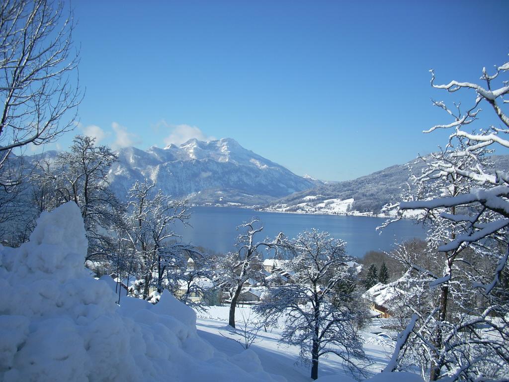 Attersee-Chalet Angermann Familie Spalt Steinbach am Attersee Εξωτερικό φωτογραφία